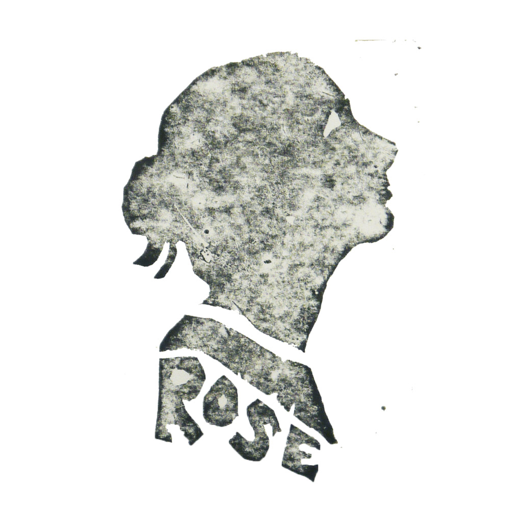 Rose Wilkinson Illustrated fabric